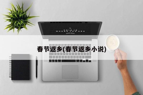 春节返乡(春节返乡小说)
