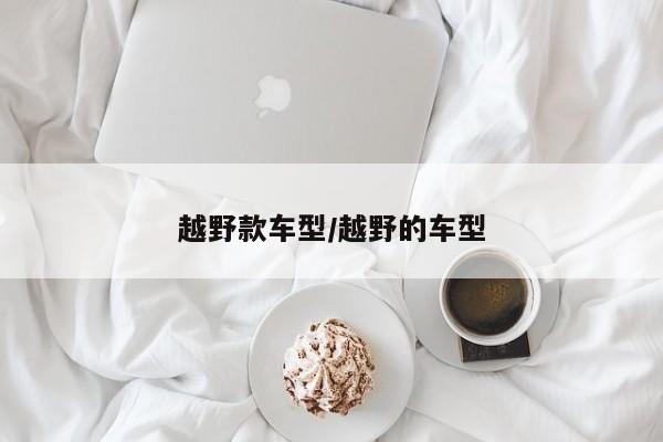 越野款车型/越野的车型