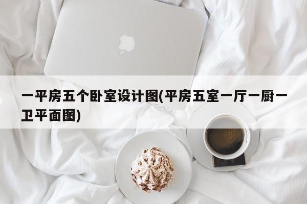 一平房五个卧室设计图(平房五室一厅一厨一卫平面图)