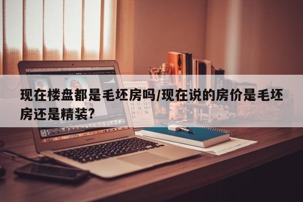 现在楼盘都是毛坯房吗/现在说的房价是毛坯房还是精装?