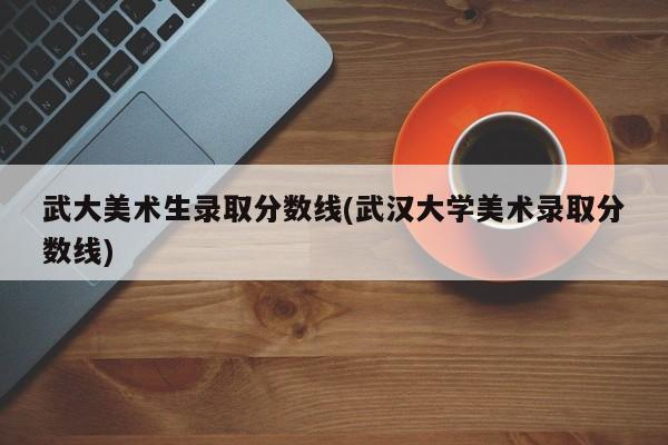 武大美术生录取分数线(武汉大学美术录取分数线)