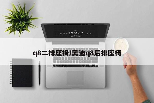q8二排座椅/奥迪q8后排座椅