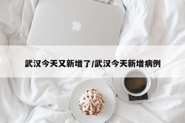 武汉今天又新增了/武汉今天新增病例