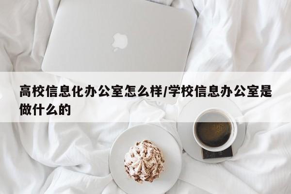 高校信息化办公室怎么样/学校信息办公室是做什么的