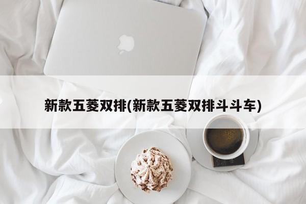 新款五菱双排(新款五菱双排斗斗车)