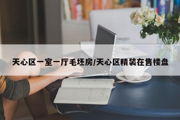 天心区一室一厅毛坯房/天心区精装在售楼盘