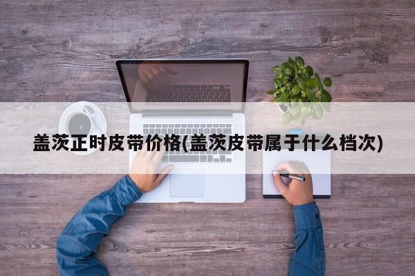 盖茨正时皮带价格(盖茨皮带属于什么档次)