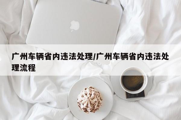 广州车辆省内违法处理/广州车辆省内违法处理流程