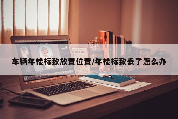 车辆年检标致放置位置/年检标致丢了怎么办