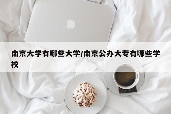 南京大学有哪些大学/南京公办大专有哪些学校